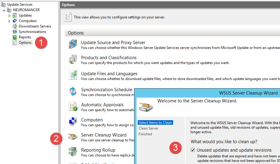 Performing a WSUS cleanup